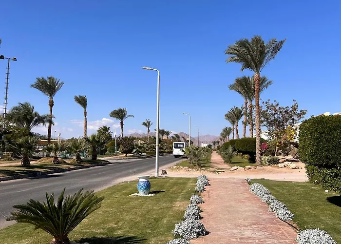 Hills 3br With Pool View And Free Access Appartement *